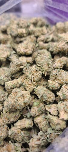 Customer photo review of Shipping Protection by Route