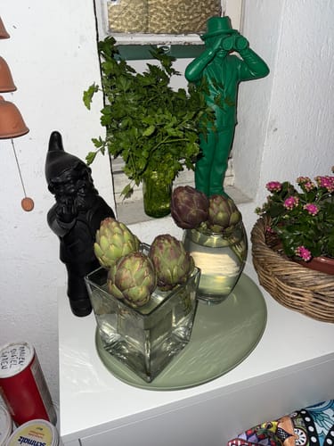 Kundenbild von frischen Bio-Artischocken Opal, die in zwei Glasvasen mit Wasser auf einem Regal stehen.