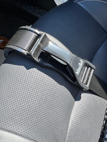 Customer photo review of Pregnancy Safety Belt