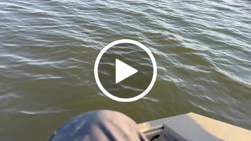 Customer video review of Earth Tone