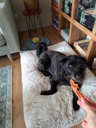 Customer photo review of KIDDOG SUPER PREMIUM Hühnerbrust Barbecue Twister