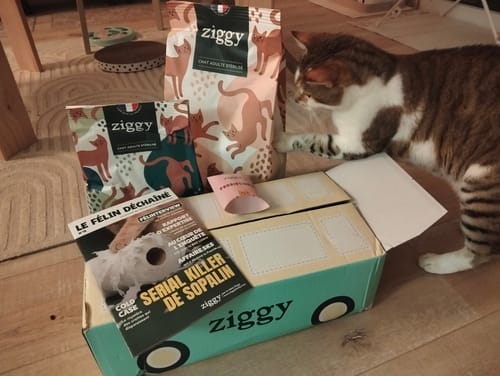 Le chat d'un client examine sa commande de Croquettes au Poulet et autres produits reçus dans une boîte.