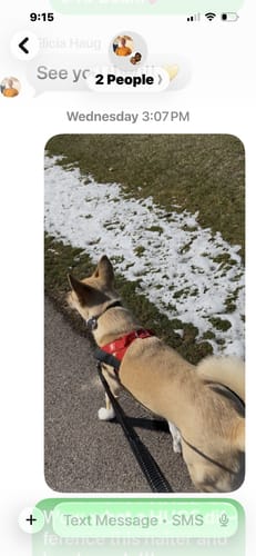 Customer photo review of No-Pull Harness