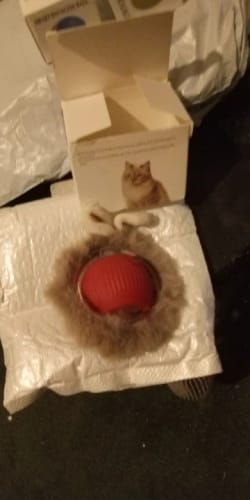 Customer photo review of Kitty-Spin - Nie wieder langweile für deine Fellnase