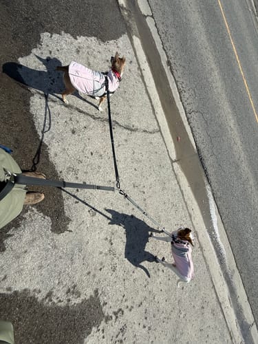 Customer photo review of Connecting Ring