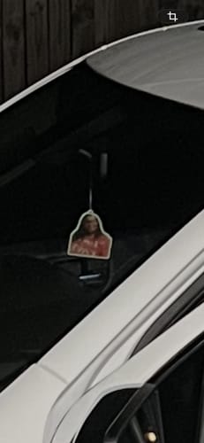 Customer photo review of Custom Air Freshener