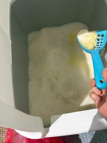 Customer photo review of 1 Month Supply – 2 Cat