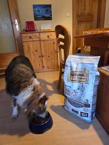 Customer photo review of NATURAL GREATNESS Veterinär Diät Gastrointestinal