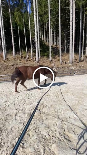 Customer video review of Strotonin Nerve Support