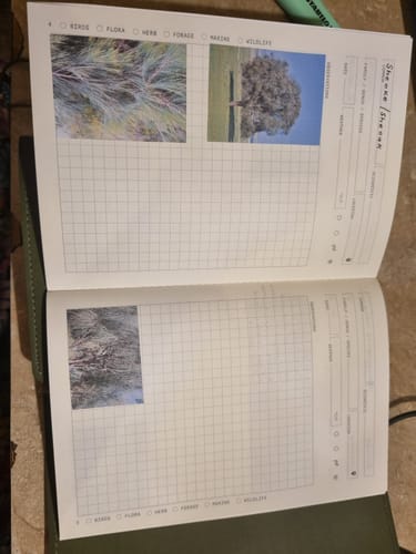 Customer photo review of Observers Friend