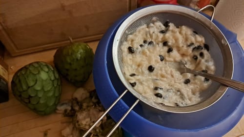 Rezensent bereitet Cherimoyas zu. Das cremige Fruchtfleisch mit Kernen wird in einem Sieb passiert, daneben zwei ganze Früchte.