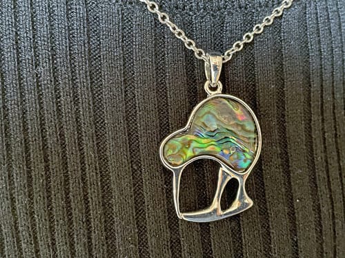 Customer photo review of Paua and Silver Kiwi Bird Necklace