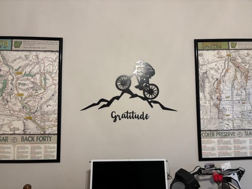 Customer photo review of Mountain Biker - Metal Wall Art