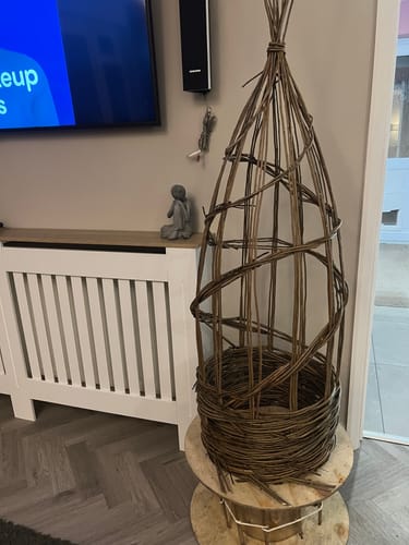 Customer photo review of The Willow Plant Support - Online Course and Kit