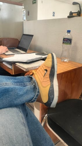 Customer photo review of Nike SB Vertebrae Wheat & Black