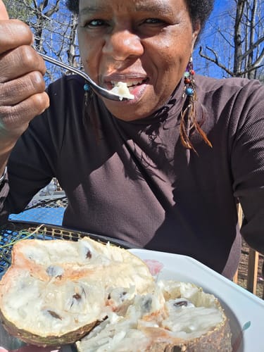 Customer photo review of Soursop