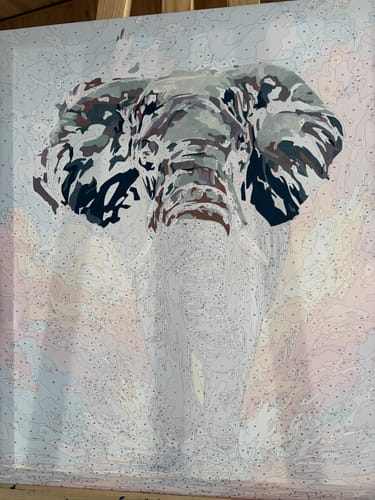 Customer photo review of Fire Elephant