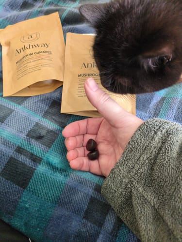 Customer photo review of Buy 2 + 1 Free