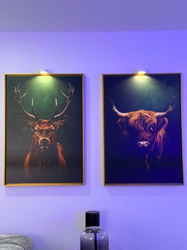 Customer photo review of Highlands Set of 2 Prints