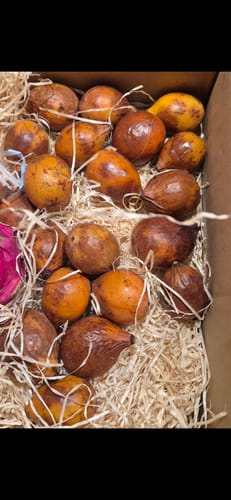 Kunde zeigt die erhaltenen Achachairu-Früchte mit bräunlicher Schale in der offenen Versandkiste.