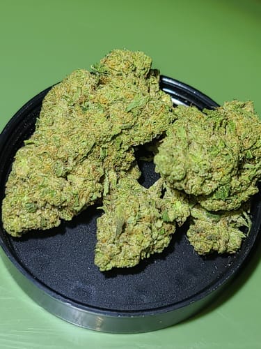 Customer photo review of Lemon Gas Mask Light Assist THCA