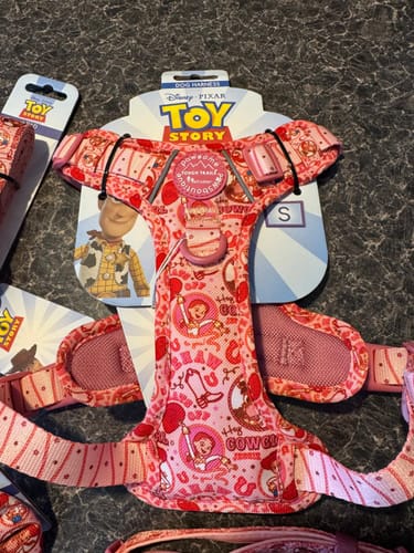 Customer photo review of Disney© Tough Trails™ Harness - Jessie