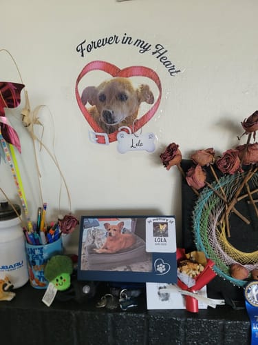 Customer photo review of Custom Photo Forever In My Heart Memorial Car Window Decal Sticker