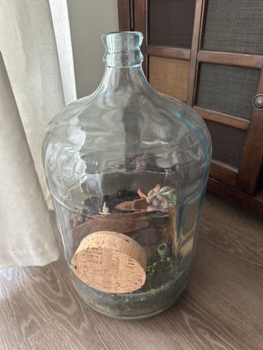 Customer photo review of Size 54 Natural Jar Corks