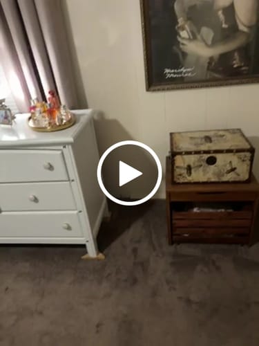 Customer video review of Saguaro Bloom Necklace