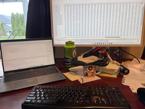 Customer photo review of Mantra