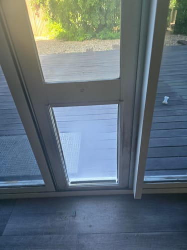 Customer photo review of Replacement Pet flap V3.0
