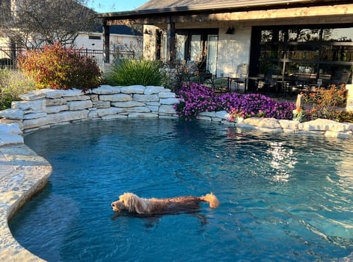 Customer photo review of The Pool Care Handbook