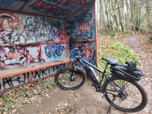 Customer photo review of DUOTTS C29 Electric Bike Ship to UK
