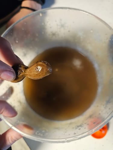 Customer photo review of Boil-The-Bag Boiled Peanuts (2 Bags)