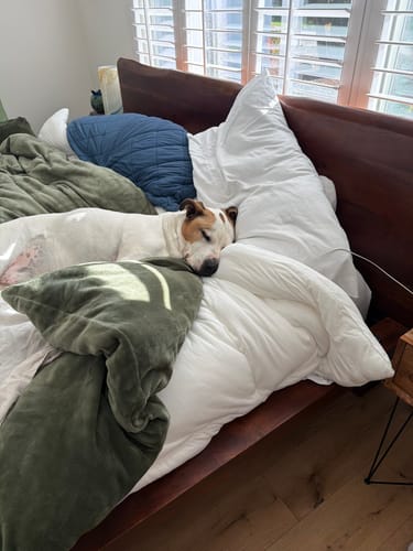 Customer photo review of Mellow CloudAlign™ Pillow