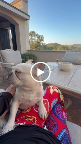 Customer video review of Corazones Mexicanos Slouch/Pajama Pants