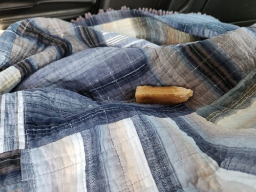 Reviewer's Himalayan Yak Cheese Chew on a plaid blanket in the back of a car.