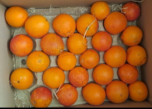 Kundenfoto zeigt eine Kiste Orangen, die in der Bewertung für die Mini-Avocados als Beispiel genannt werden.