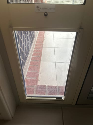 Customer photo review of Replacement Pet flap V3.0