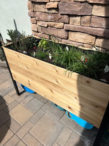 Customer photo review of 18" x 48" Raised Garden Bed - 30" TALL / Signature