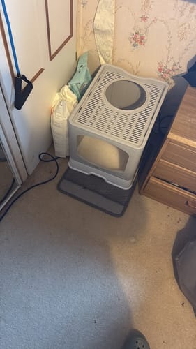 Customer photo review of 1 Month Supply – 2 Cat