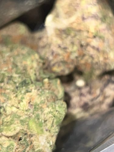Customer photo review of Gas Basket Exotic THCA Mediums