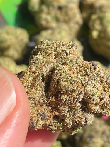Customer photo review of Goji Berries Exotic THCA