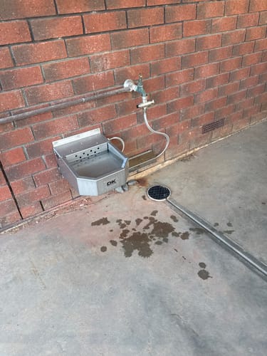 Customer photo review of Pet Rehydration Station
