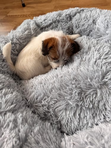 Customer photo review of CalmBed - Motverkar stress & hjälper mot ångest