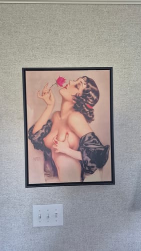 Customer photo review of Memories of Olive (1920) by Alberto Vargas