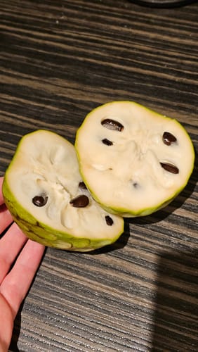 Ein Kunde hält eine aufgeschnittene Bio Cherimoya, die das cremige weiße Fruchtfleisch und die schwarzen Kerne zeigt.
