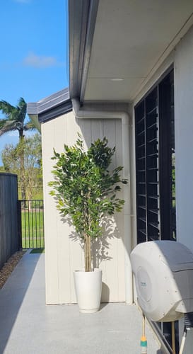 Customer photo review of Artificial Ficus Tree 180cm Nearly Natural UV Resistant