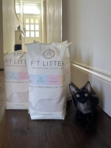 Customer photo review of 3 Month Supply - 2 Cats