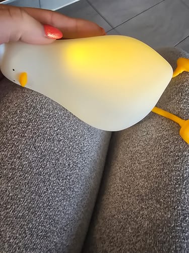 Customer photo review of DuckyLay Duck Lamp™